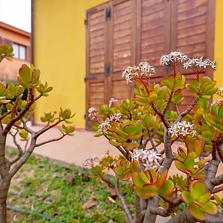 B&B Gassa D'amante 3*