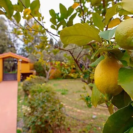 Gassa D'amante Bed & Breakfast Capoterra