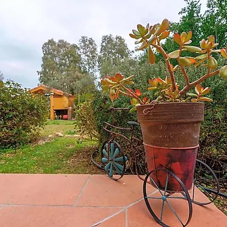 Bed & Breakfast Gassa D'amante