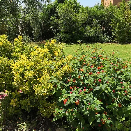 Bed & Breakfast Gassa D'amante