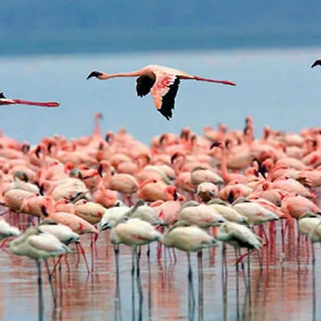 Gassa D'amante Frühstückspension Capoterra